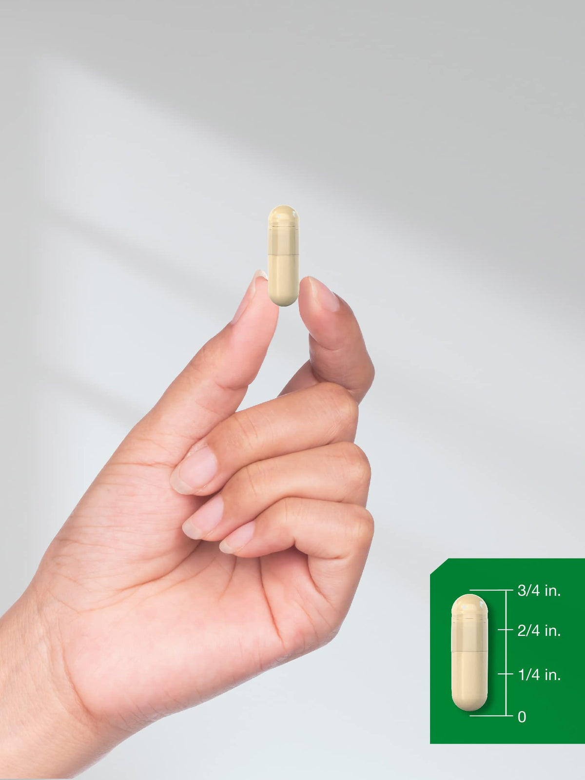 Cinnamon Capsules 150 Count I243