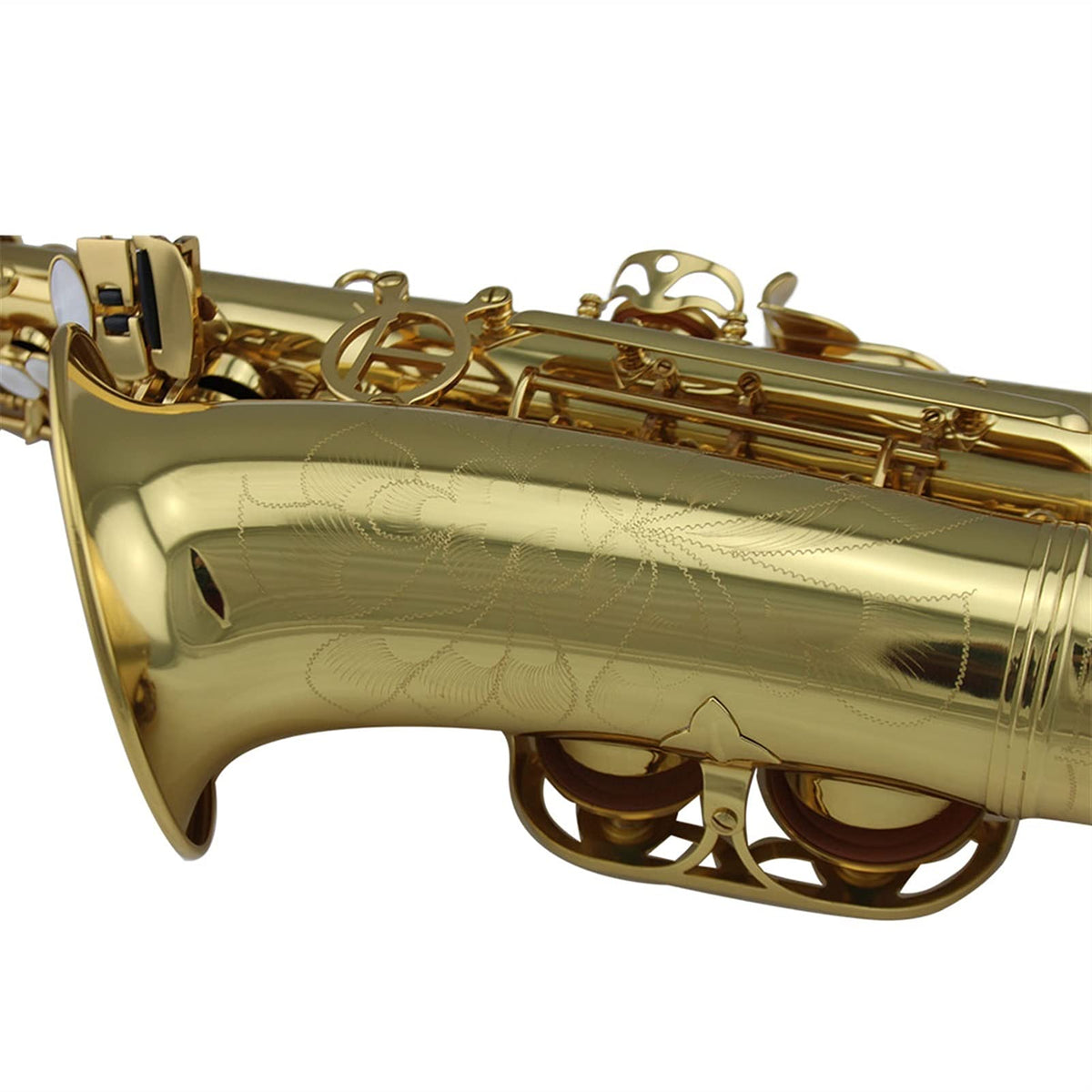 Gold Lacquer Alto Saxophone Set N1164
