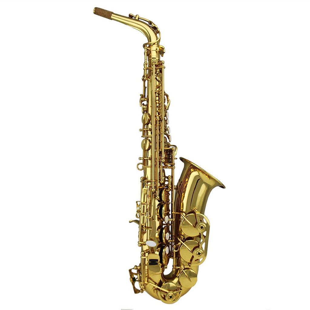Gold Lacquer Alto Saxophone Set N1164