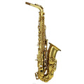 Gold Lacquer Alto Saxophone Set N1164