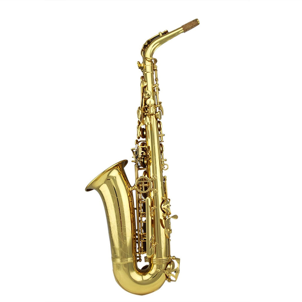 Gold Lacquer Alto Saxophone Set N1164