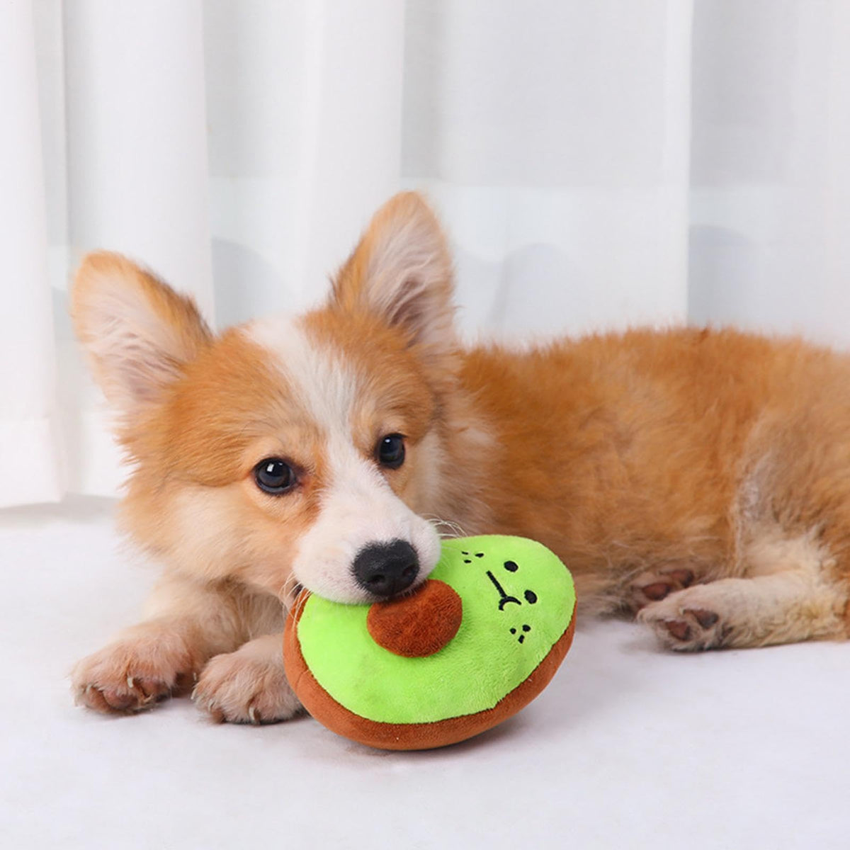 Bite Resistant Squeaky Stuffed Dog Toys L4818
