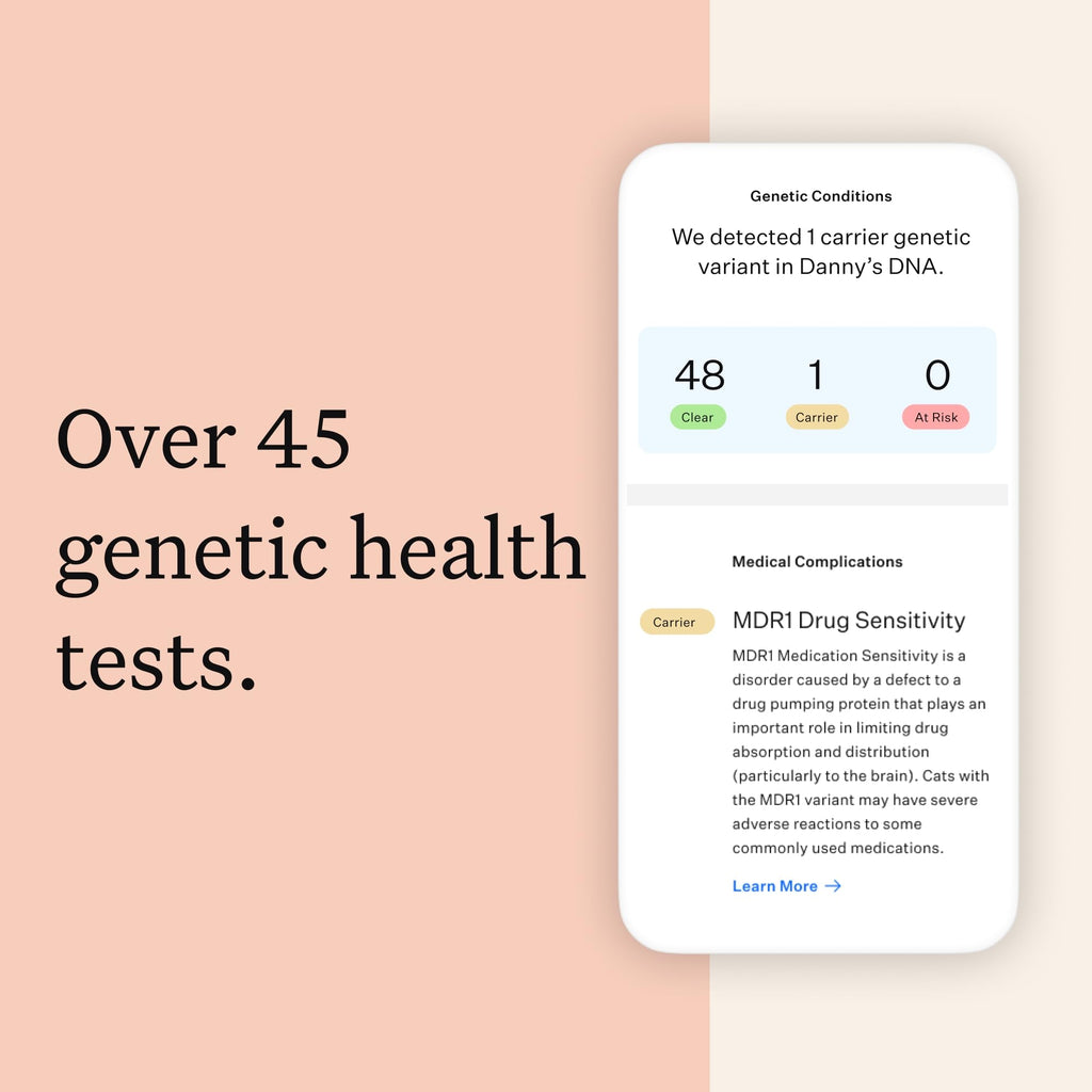 Cat DNA Test Kit, 45 Health Conditions, 1 Pack L159399