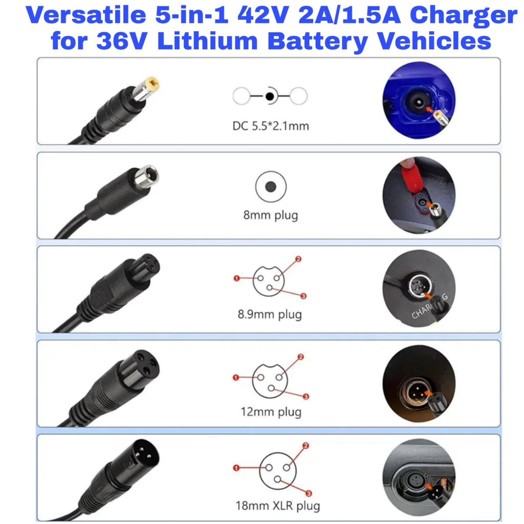 42V 2A/1.5A Universal 5 Plugs Fast Electric Charger for 36V Lithium Battery L48480
