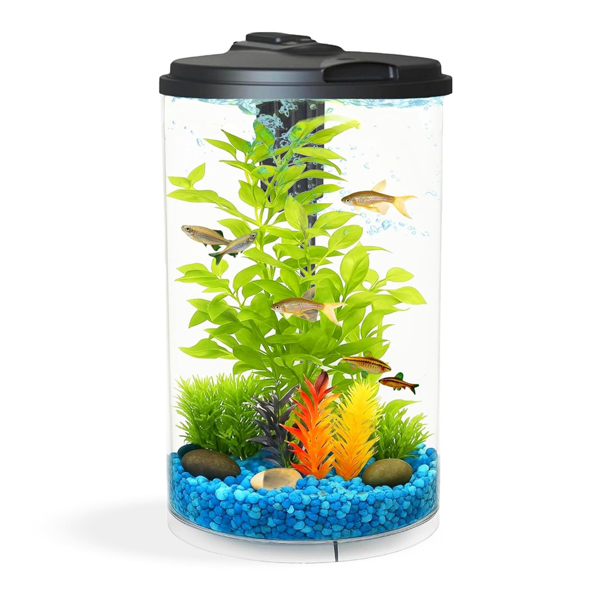 3-Gallon Aquarium with LED Lighting and Power Filter D828