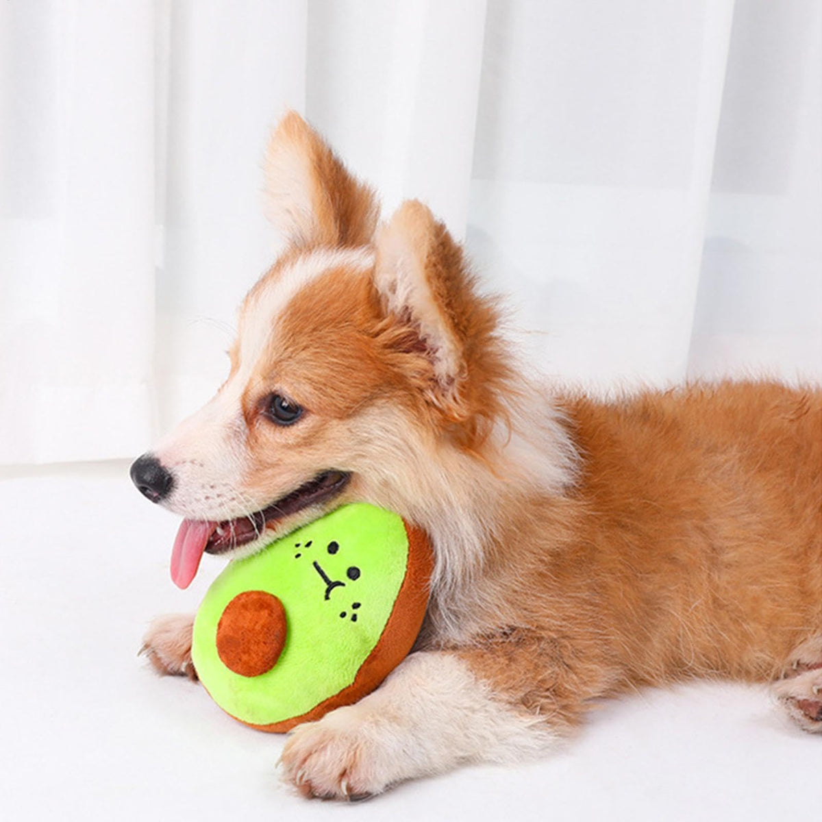 Bite Resistant Squeaky Stuffed Dog Toys L4818