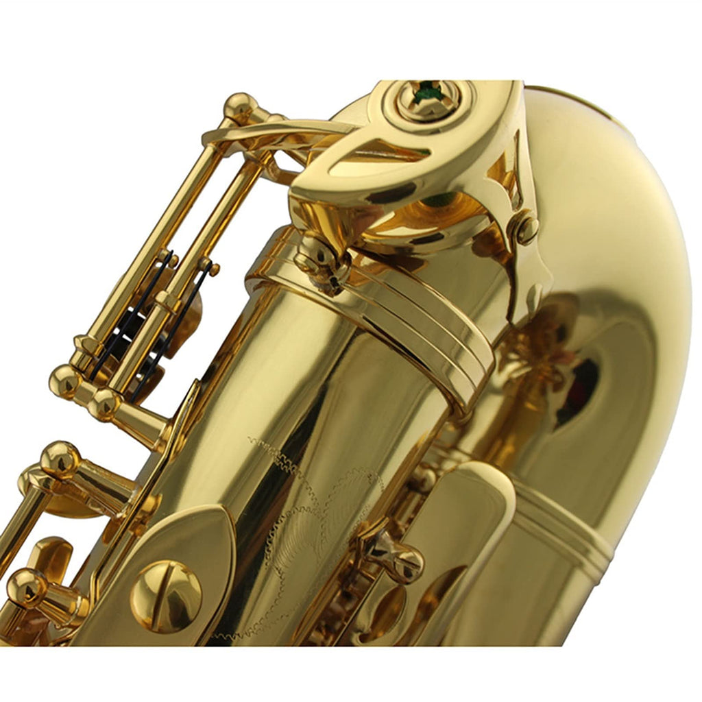 Gold Lacquer Alto Saxophone Set N1164