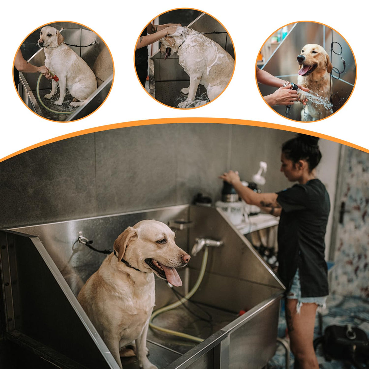 Stainless Steel Dog Grooming Tub P118456