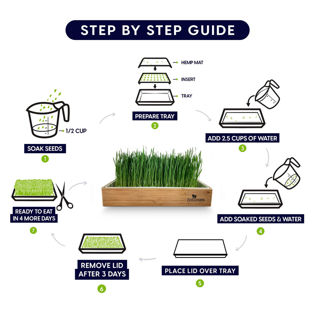 Self-Watering Cat Grass Kit and Refills, 4 Mats and 4 Seed Packets Q41570
