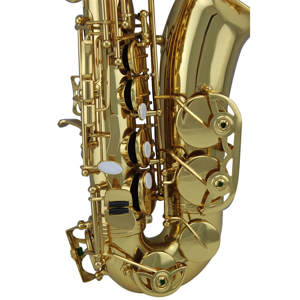 Gold Lacquer Alto Saxophone Set N1164