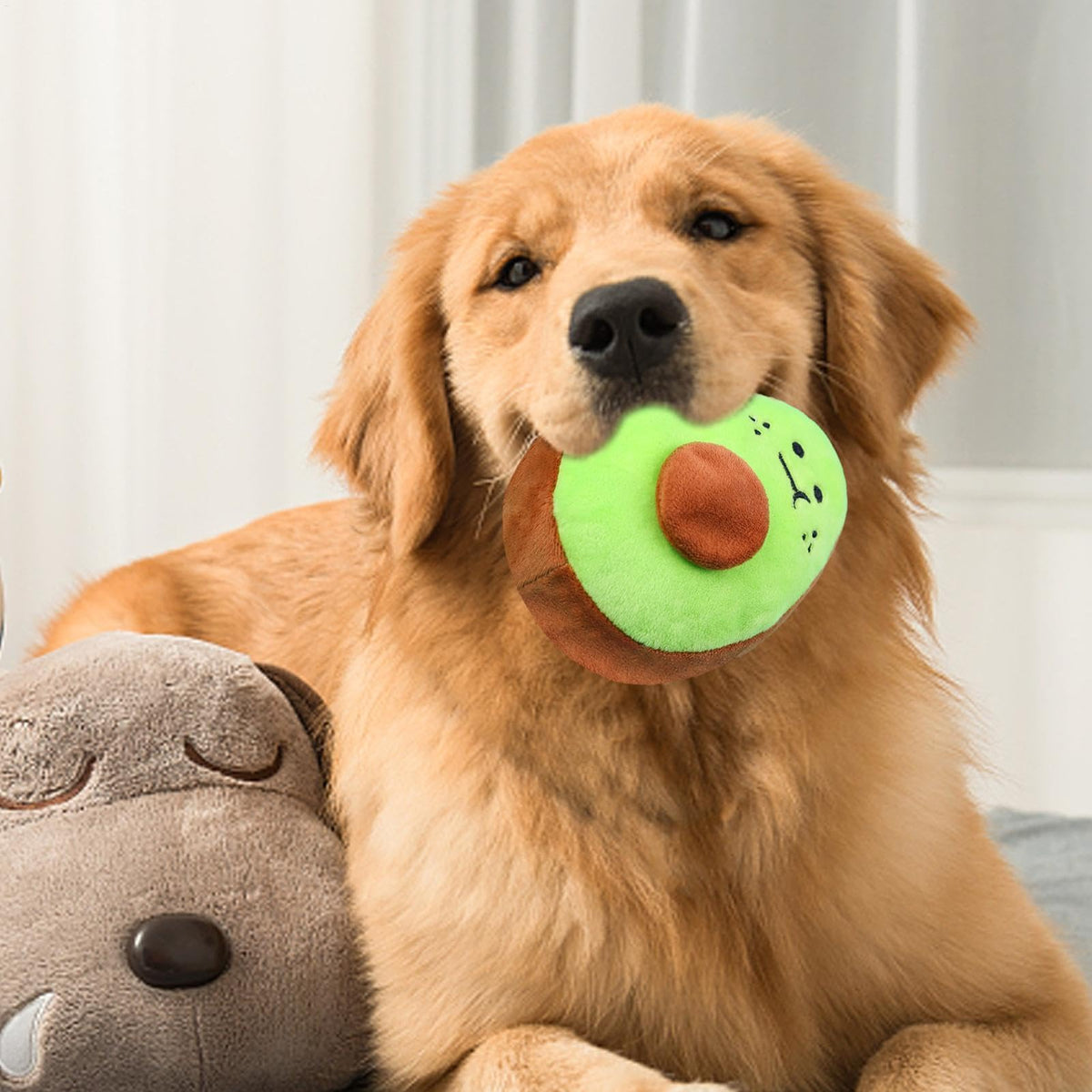 Bite Resistant Squeaky Stuffed Dog Toys L4818