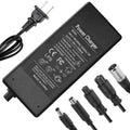 42V 2A/1.5A Universal 5 Plugs Fast Electric Charger for 36V Lithium Battery L48480