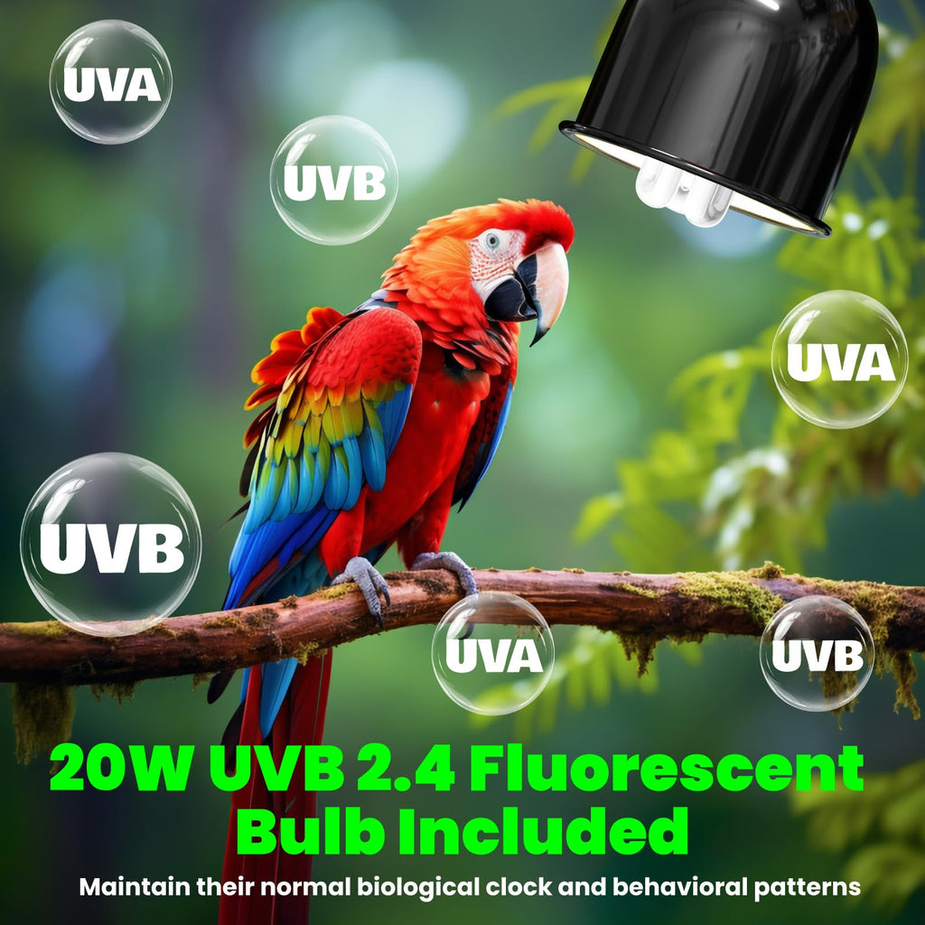 Deep Dome Lampshade with 2.4% UVB Bulb 20W S234