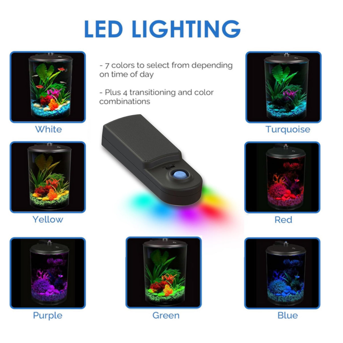 3-Gallon Aquarium with LED Lighting and Power Filter D828