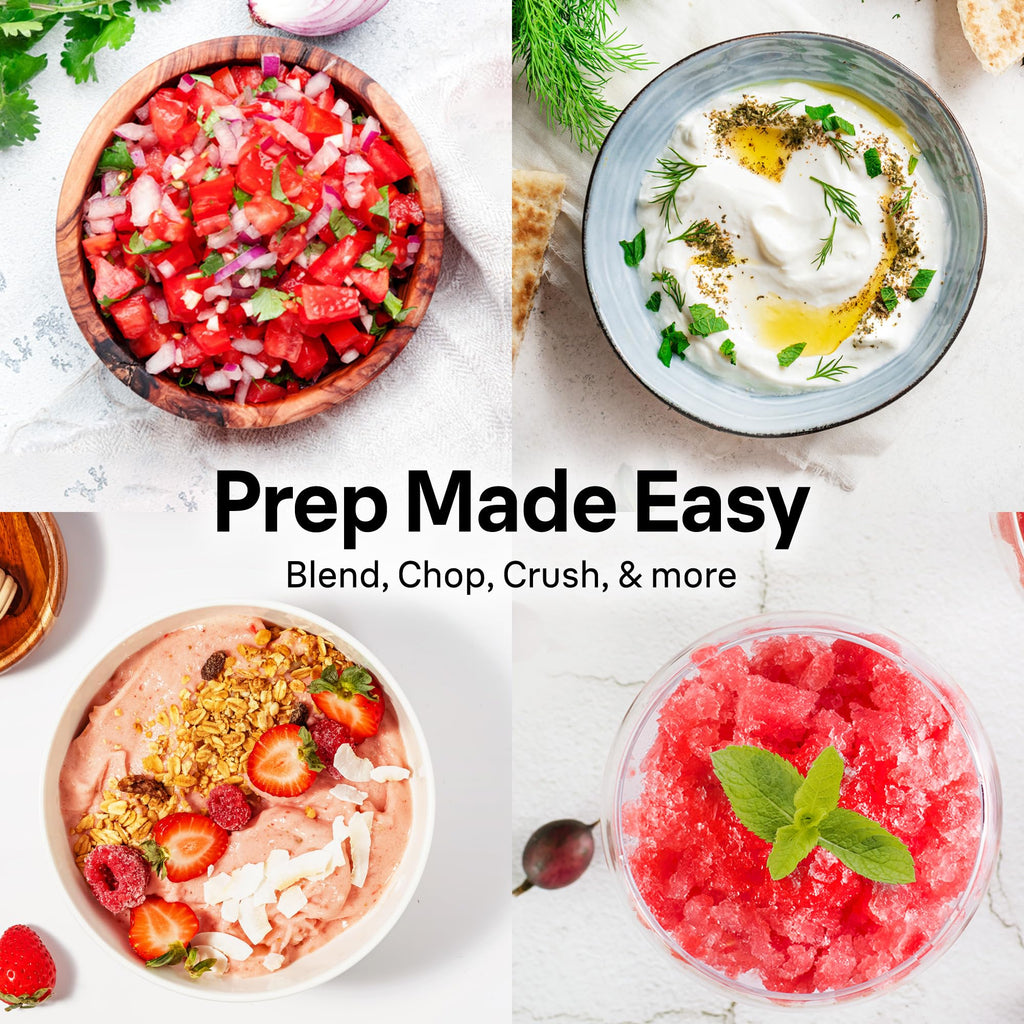 4 Cup Two Speed Pulse Mini Food Processor N9402