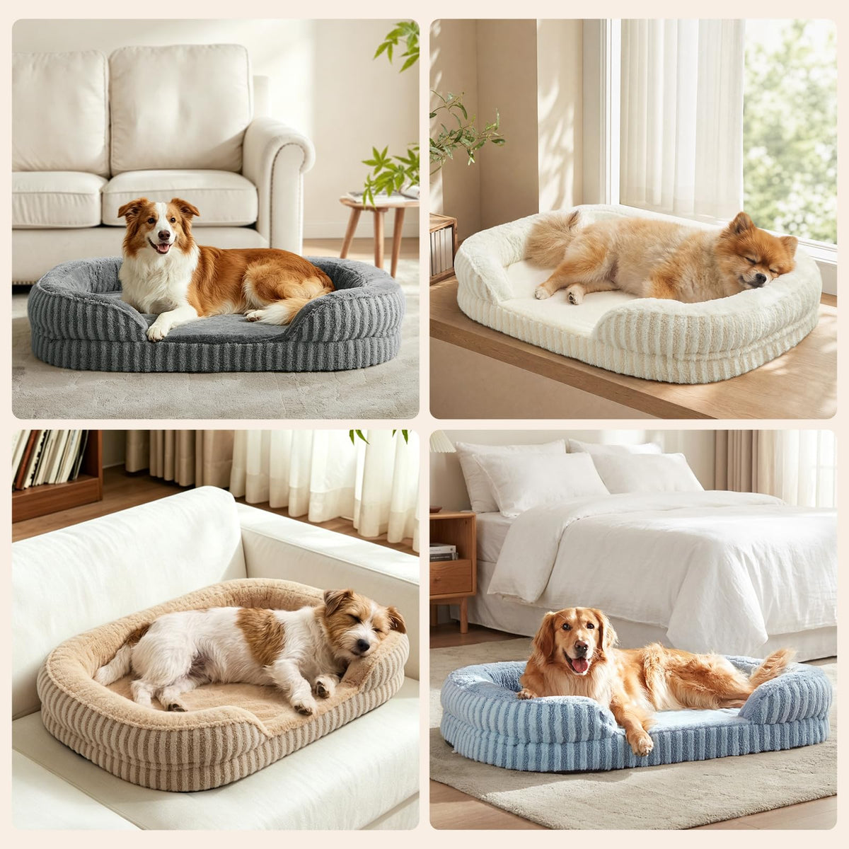 Washable 42" Orthopedic Dog Bed K86057