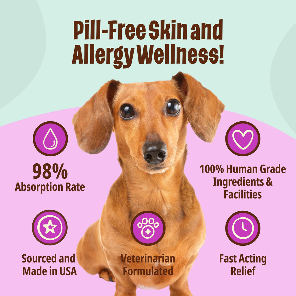 Omega-3 Fish Oil for Senior Dogs D226739