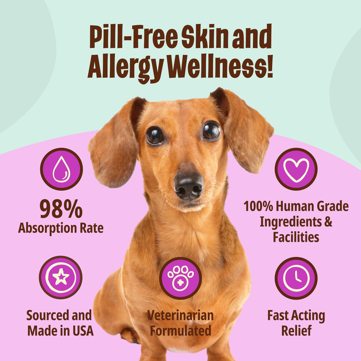 Omega-3 Fish Oil for Senior Dogs D226739