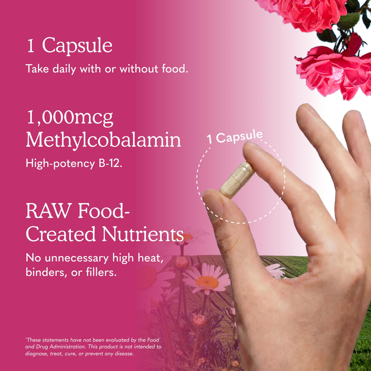 Vegan B-12 Methylcobalamin 30 Capsules F7005