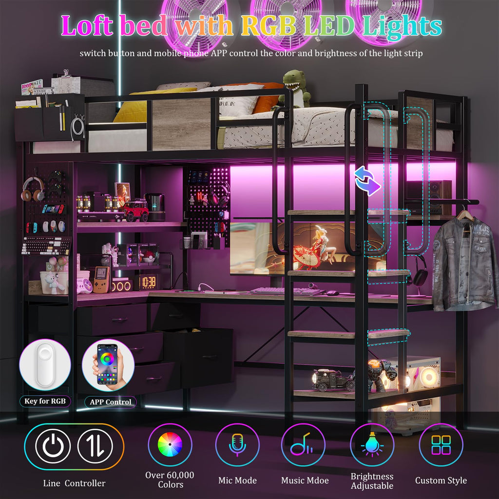 Twin Size Loft Bed with Desk and 5 Drawer H74418