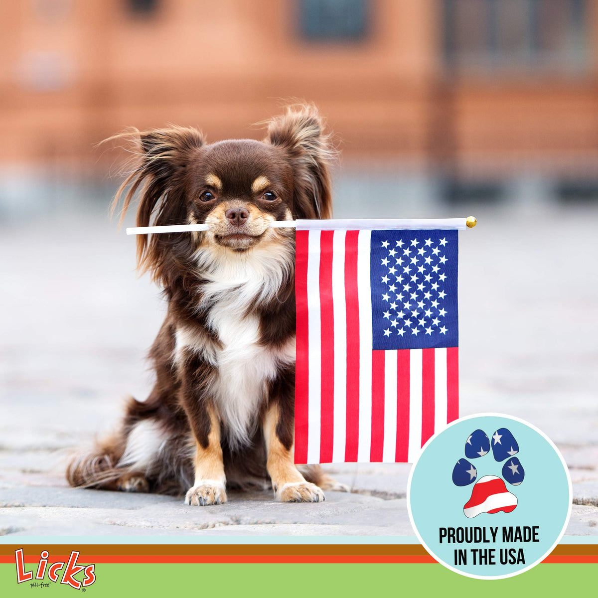 Omega-3 Fish Oil for Senior Dogs D226739