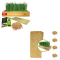 Self-Watering Cat Grass Kit and Refills, 4 Mats and 4 Seed Packets Q41570