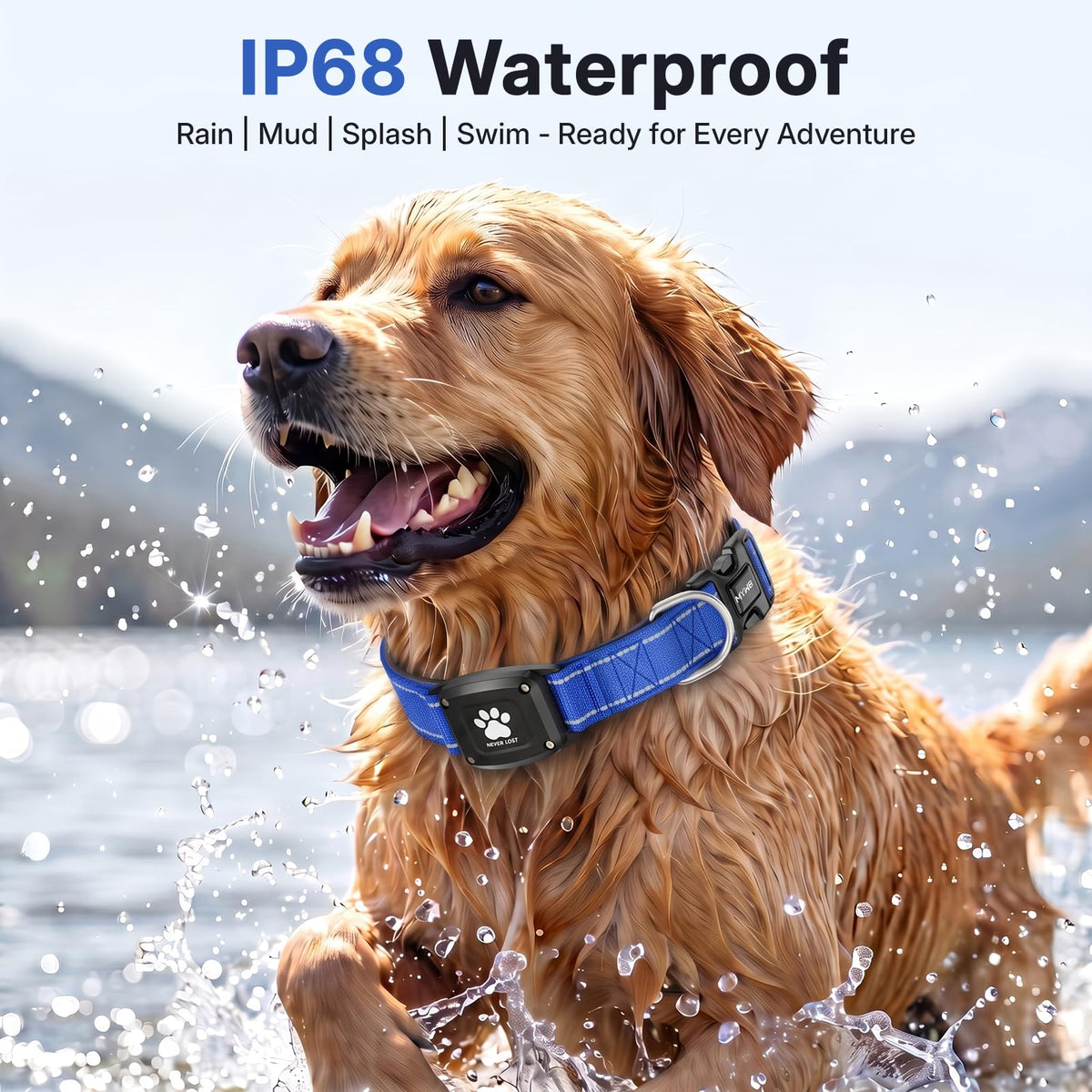 GPS Dog Collar with Tracker, Waterproof, Blue, L M4960