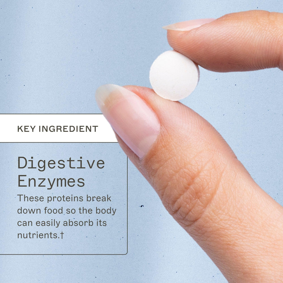 Chewable Digestive Enzymes 180 Tablets X6641