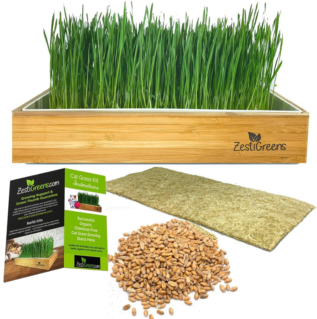 Self-Watering Cat Grass Kit and Refills, 4 Mats and 4 Seed Packets Q41570