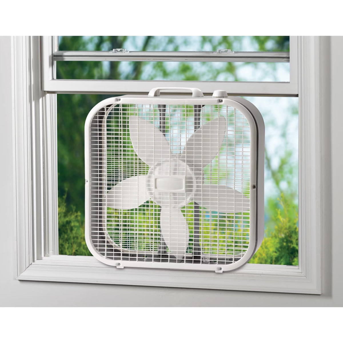 20 Inch 3 Speed White Box Fan M5680