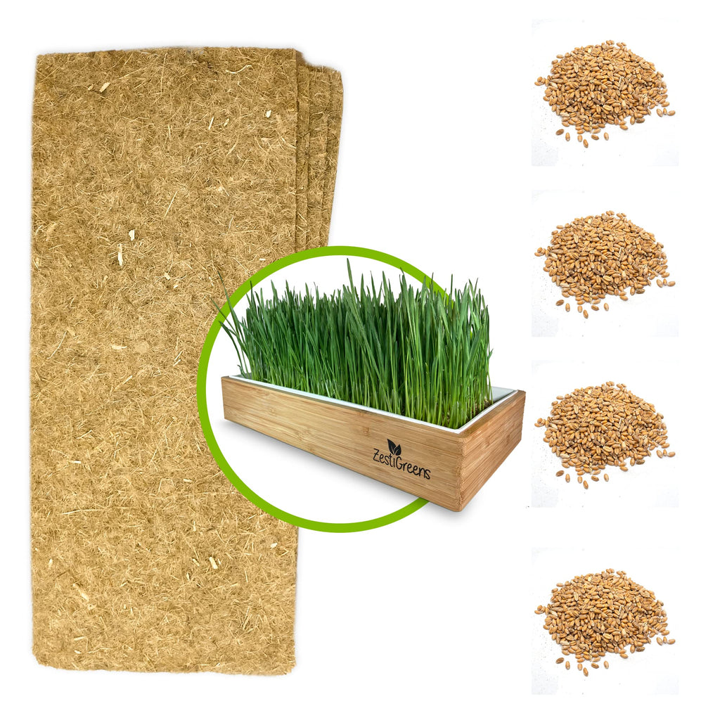 Self-Watering Cat Grass Kit and Refills, 4 Mats and 4 Seed Packets Q41570