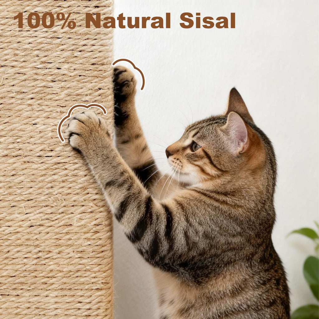 Tall Cat Scratching Post with Carpet I21984