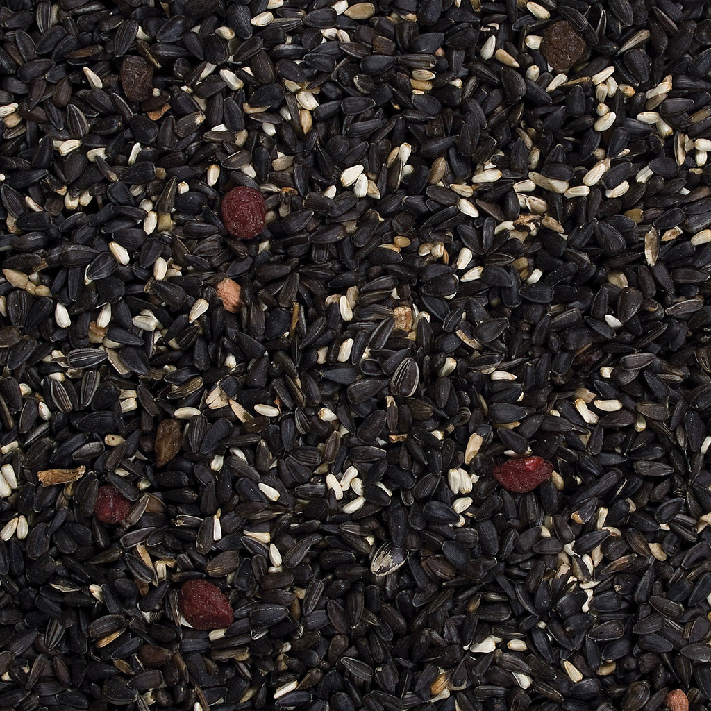 Songbird Food, 20 lb Y91342
